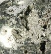 Polished Pyrite Skull With Pyritohedral Crystals #96325-1